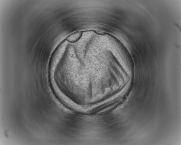 X0000097490949200803141954