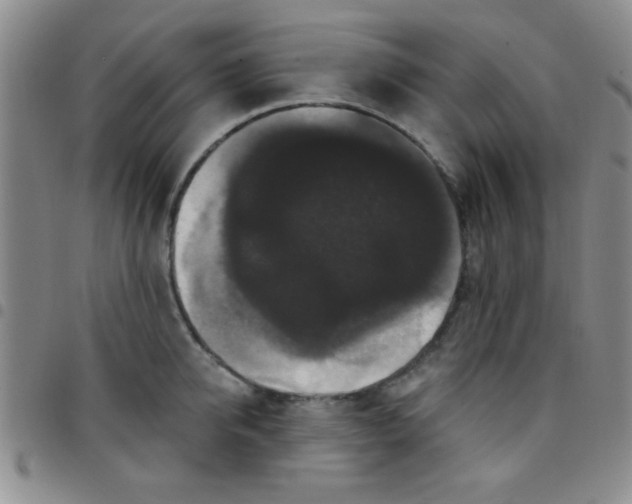 X0000097490950200803141954