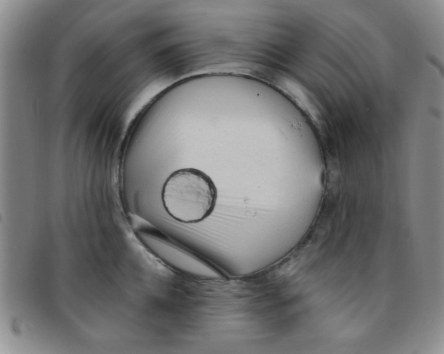 X0000097490952200803141954