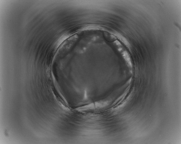 X0000097490953200803141954