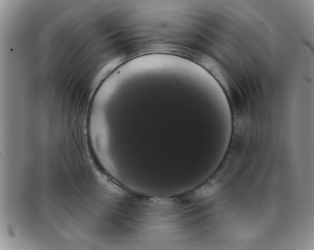 X0000097490954200803141954