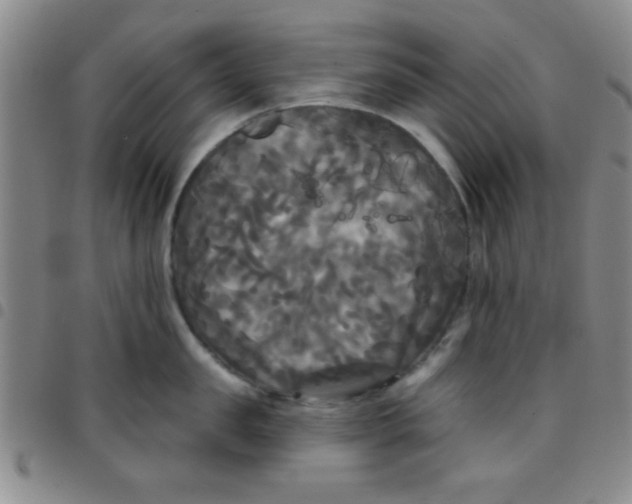 X0000097490957200803141954