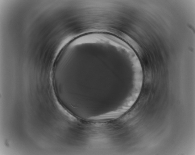 X0000097490958200803141954