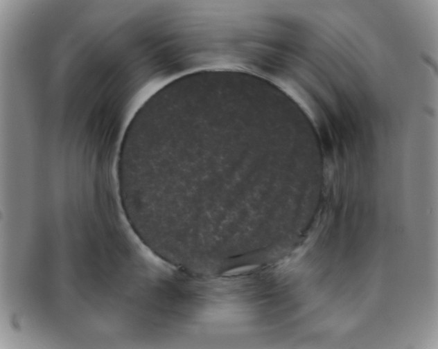 X0000097490959200803141954