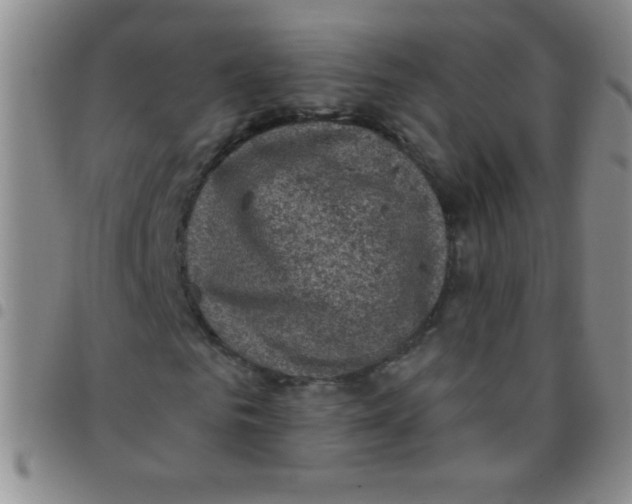 X0000097490961200803141953