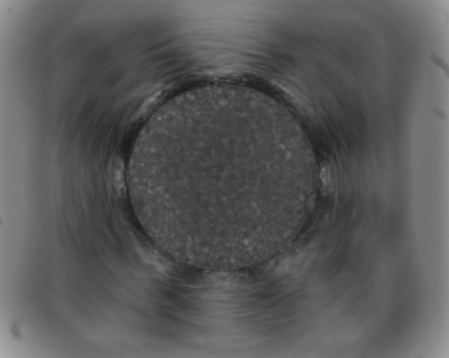 X0000097490963200803141953