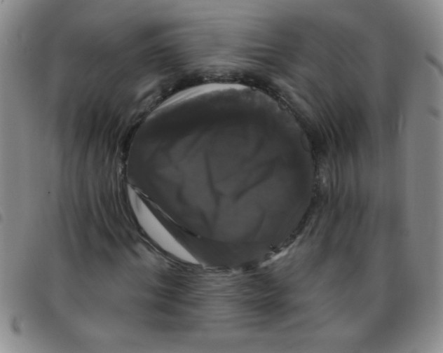 X0000097490964200803141953