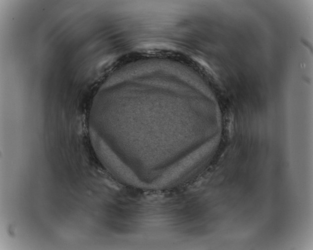 X0000097490965200803141953