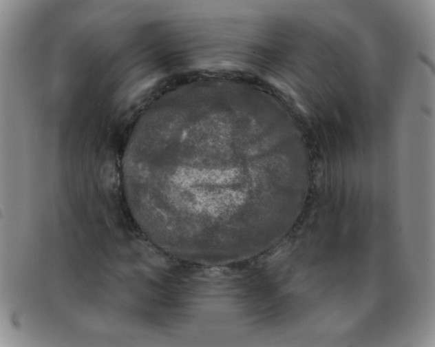 X0000097490966200803141953