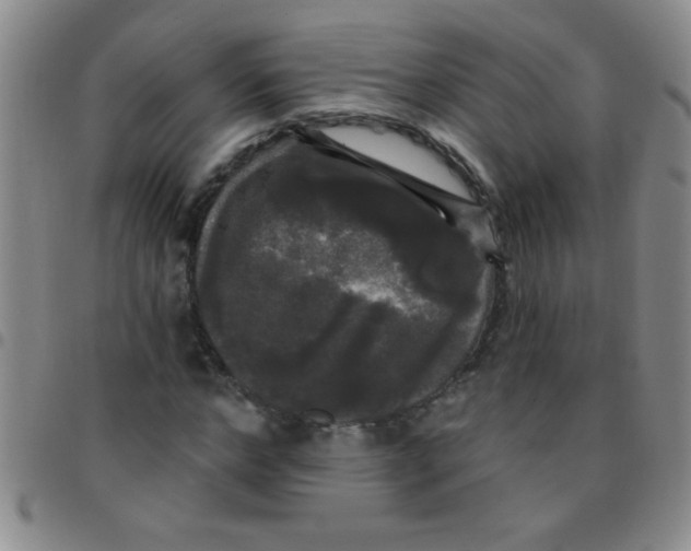 X0000097490968200803141953