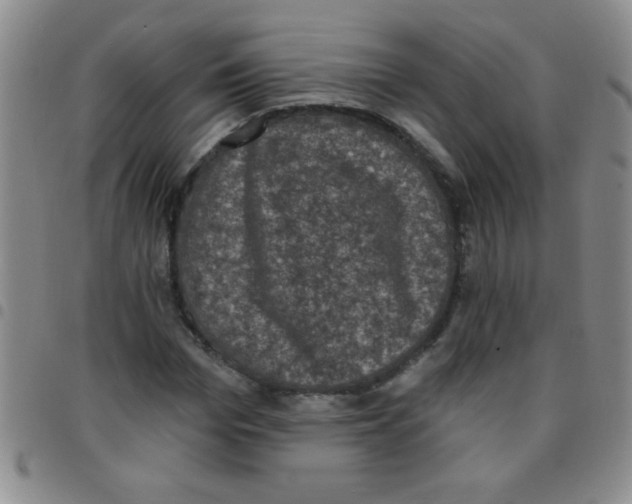 X0000097490969200803141953