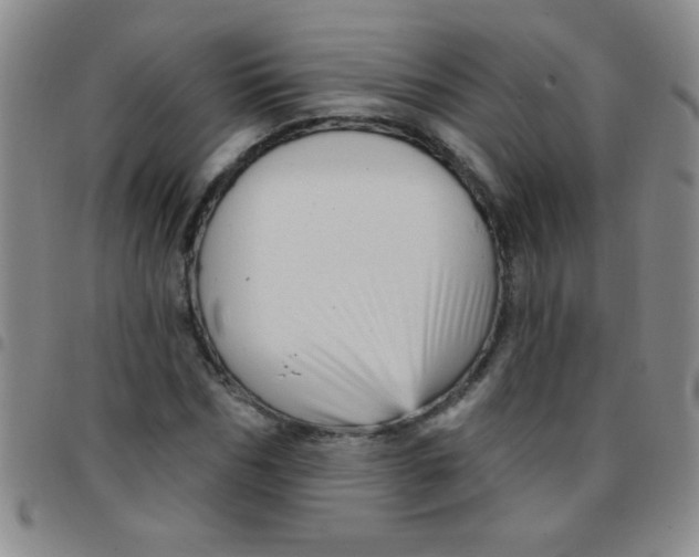 X0000097490970200803141953