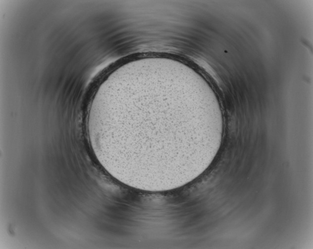 X0000097490971200803141953