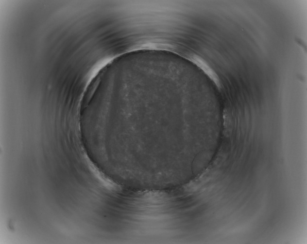 X0000097490972200803141953