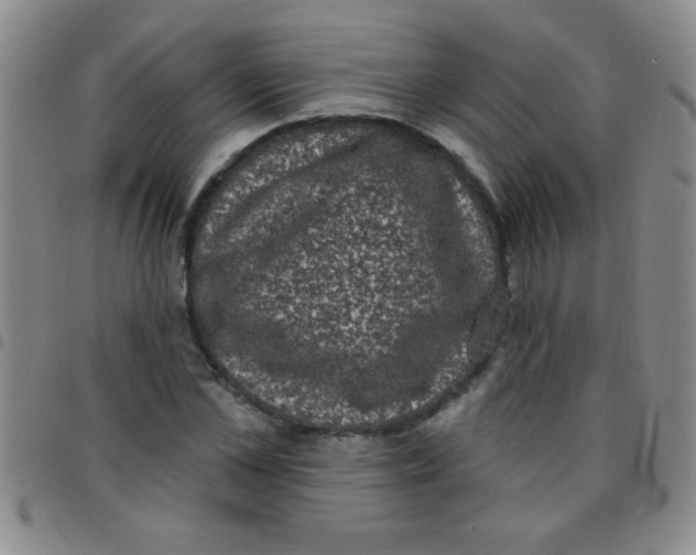 X0000097490973200803141953