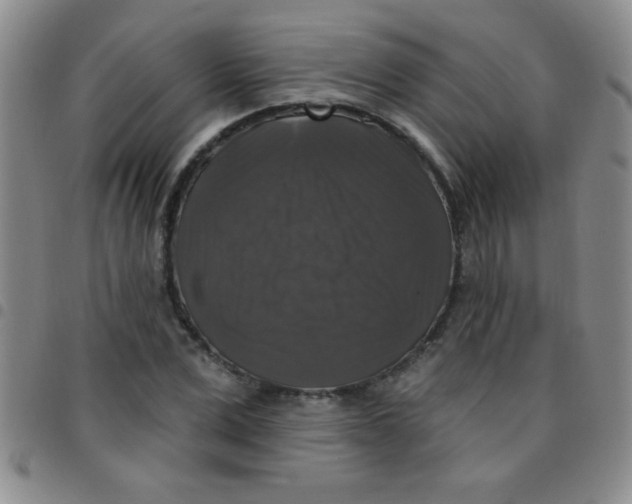 X0000097490975200803141953