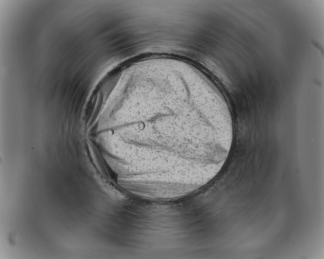 X0000097490976200803141953