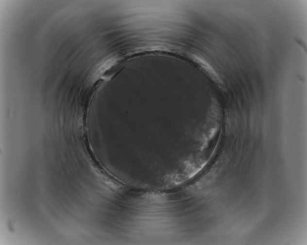 X0000097490977200803141953