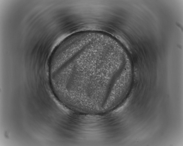 X0000097490981200803141953