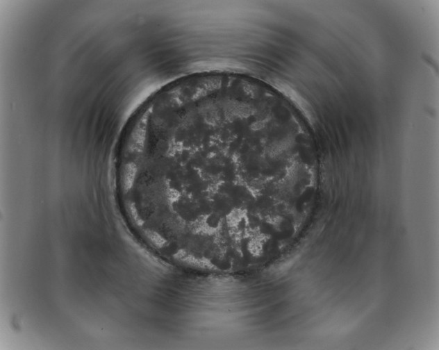 X0000097490983200803141953