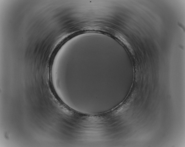 X0000097490984200803141953