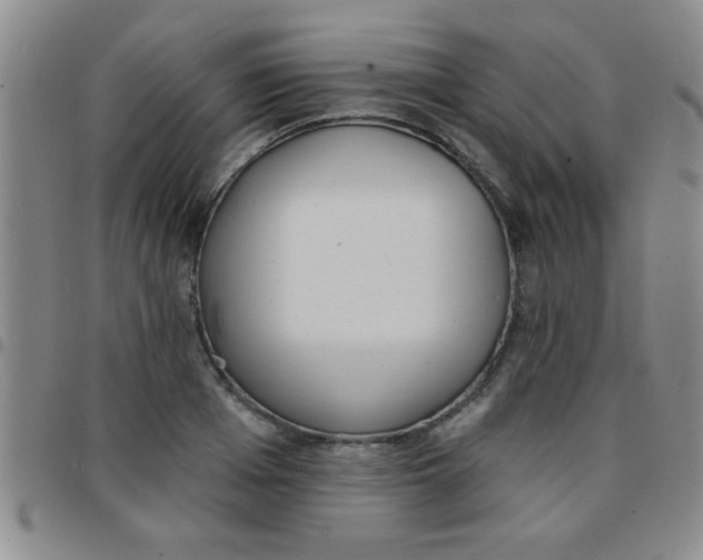 X0000097490985200803141953