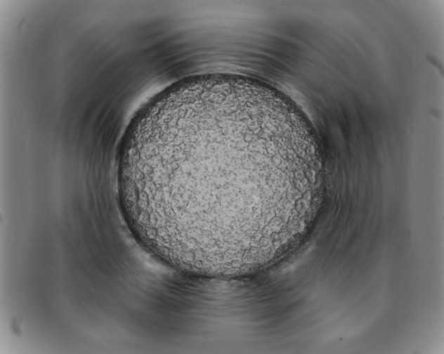 X0000097490987200803141953