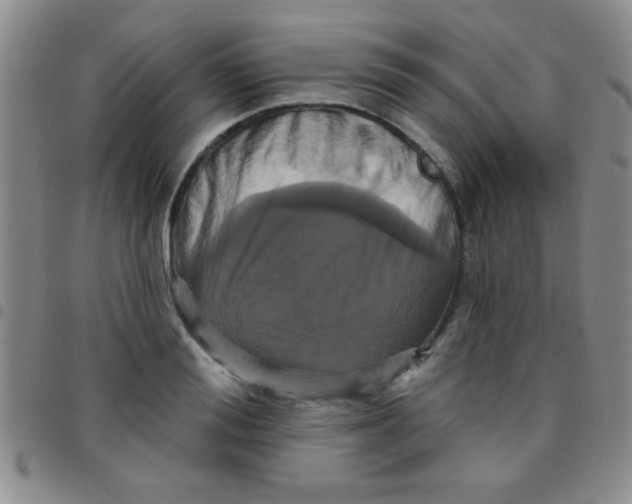 X0000097490988200803141953