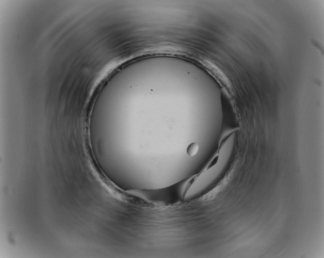 X0000097490989200803141953