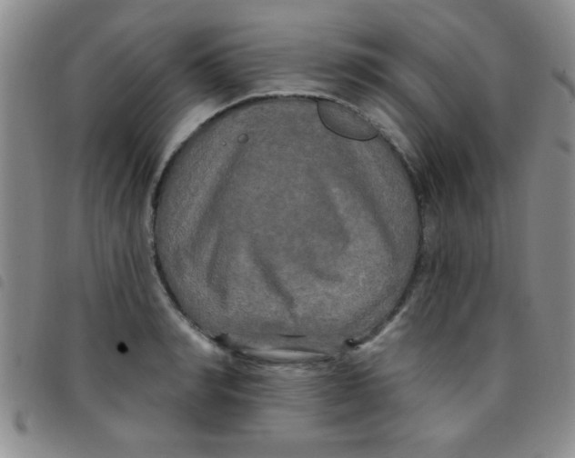 X0000097490990200803141953