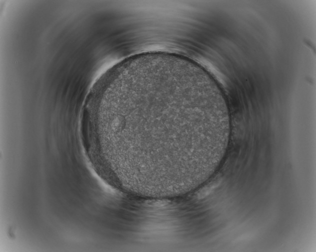 X0000097490991200803141953