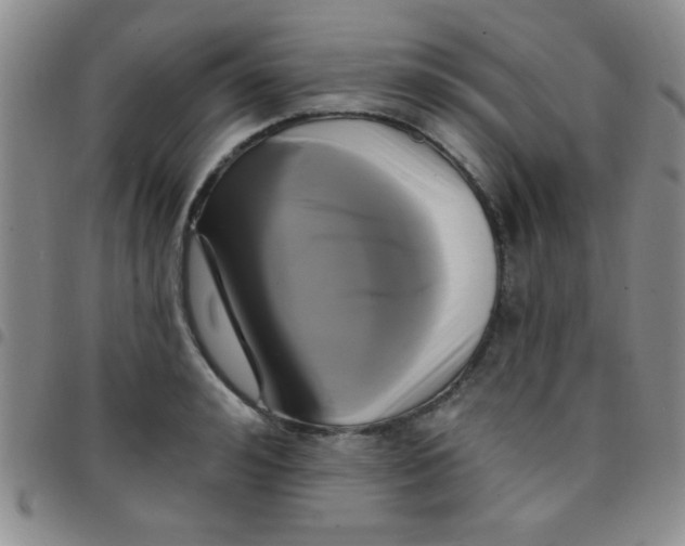 X0000097490992200803141953