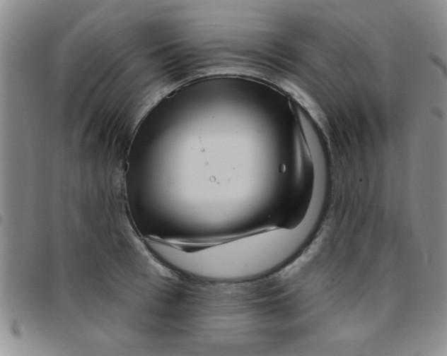 X0000097490993200803141953