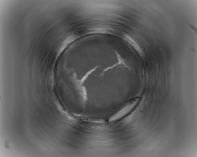 X0000097490994200803141953