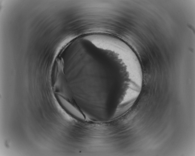 X0000097490995200803141953