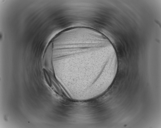 X0000097490996200803141953