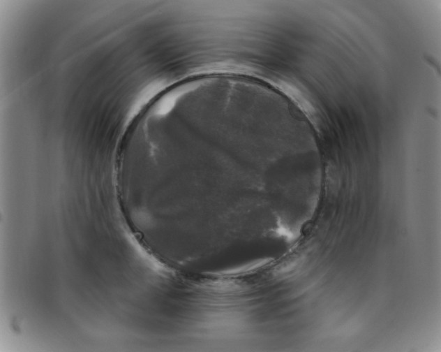 X0000097490998200803141953