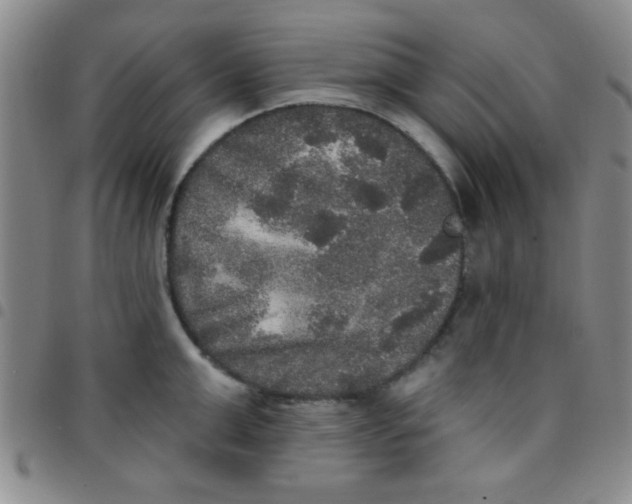 X0000097490999200803141953