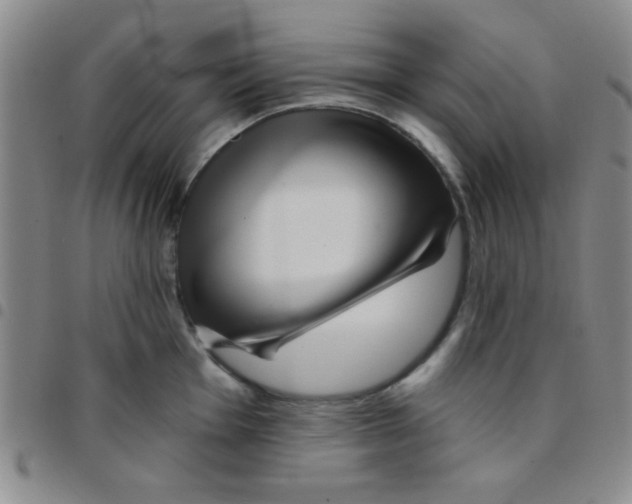 X0000097491001200803141953