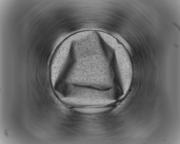 X0000097491004200803141953