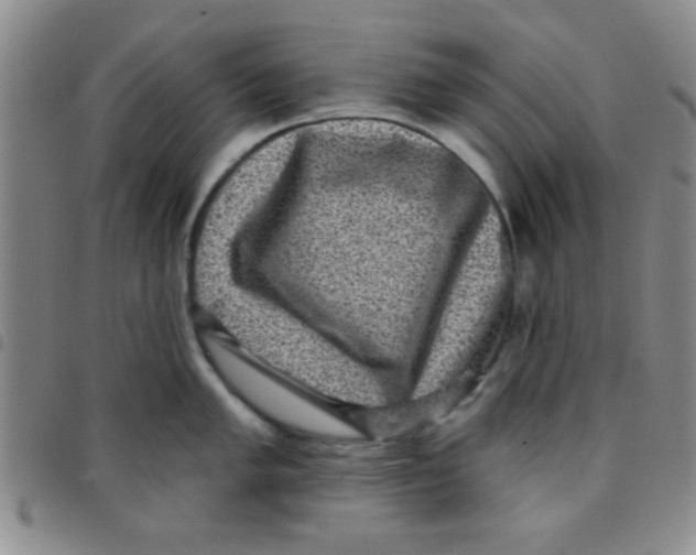 X0000097491005200803141953