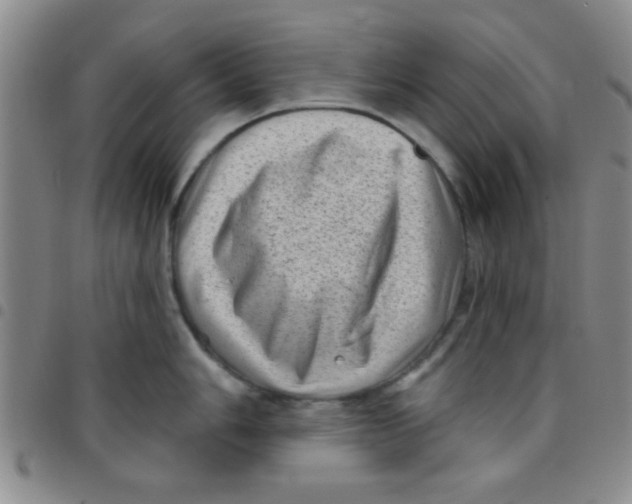 X0000097491006200803141953