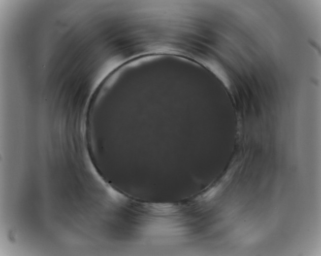 X0000097491007200803141953