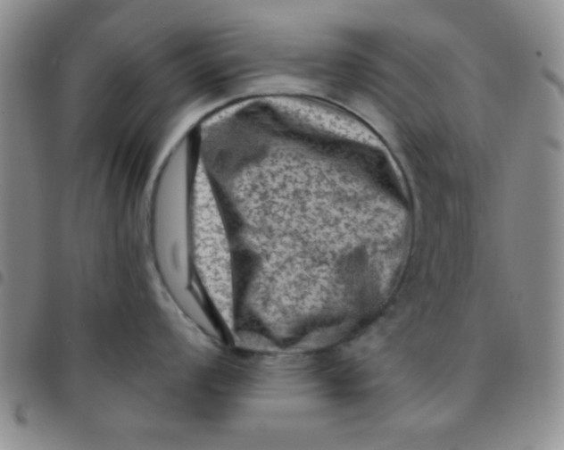 X0000097491008200803141953