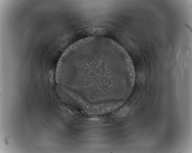 X0000097491010200803141952