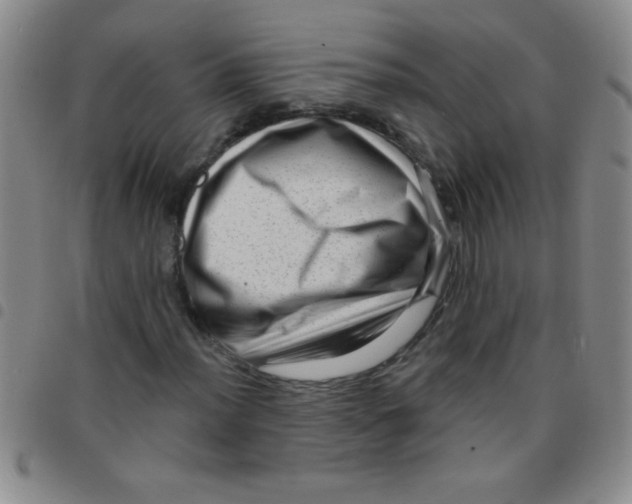 X0000097491012200803141952