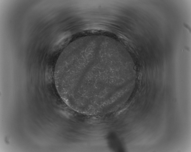 X0000097491014200803141952