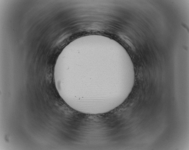 X0000097491015200803141952