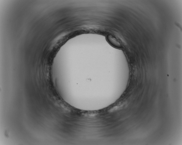 X0000097491016200803141952