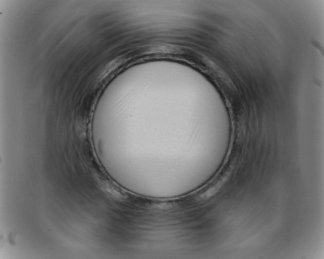 X0000097491017200803141952